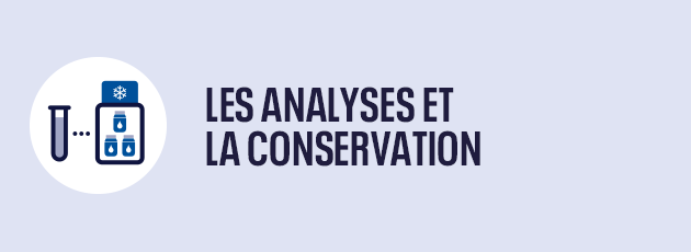 Les analyses et la conservation
