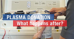 Thumbnail for the video Plasma Donation: What Happens After?